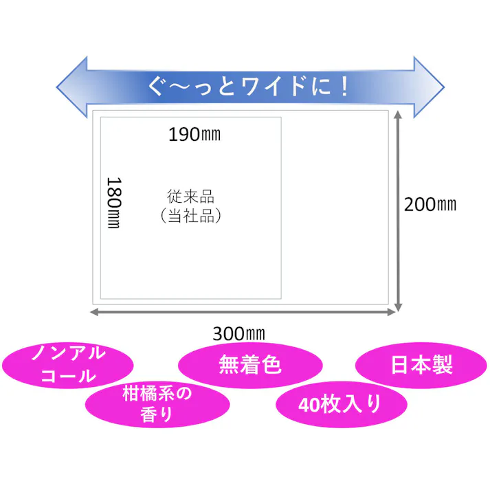 ハビナース トイレに流せるおしりふき 大判厚手 40枚入 ×1点【送料込み】 #4902508116015