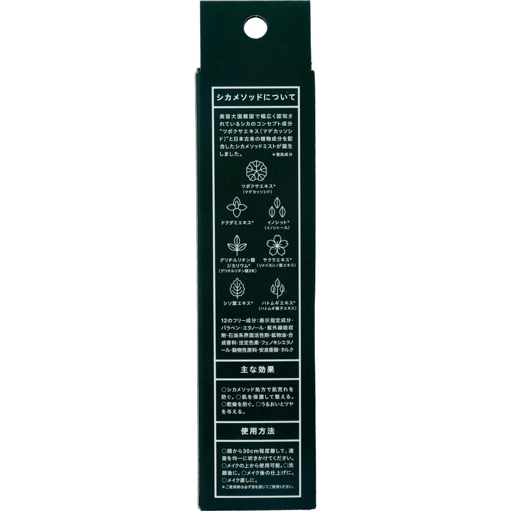 CICA method MIST シカ メソッド ミスト 美容液ミスト 100mL ×1点