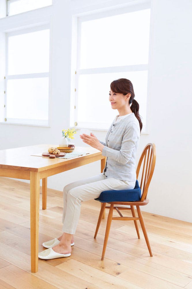 コジット 腰痛対策クッション ネイビー ×1点【送料込み