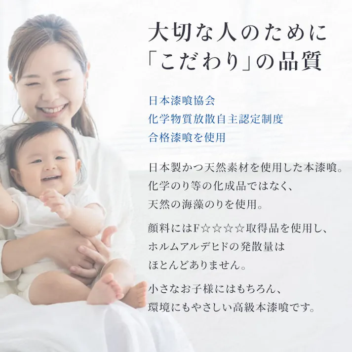 練り漆喰プレミアム アイスグリーン 20kg