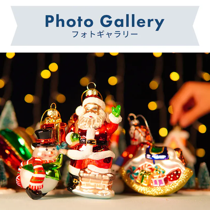 BROOKS HOME GARDEN ガラス製 クリスマスオーナメント 9点セット【翌営業日発送】