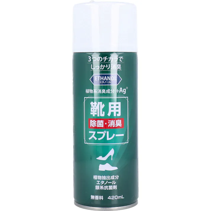 靴用 除菌消臭スプレー 無香料 420mL ×1点【送料込み】 #4520935301332