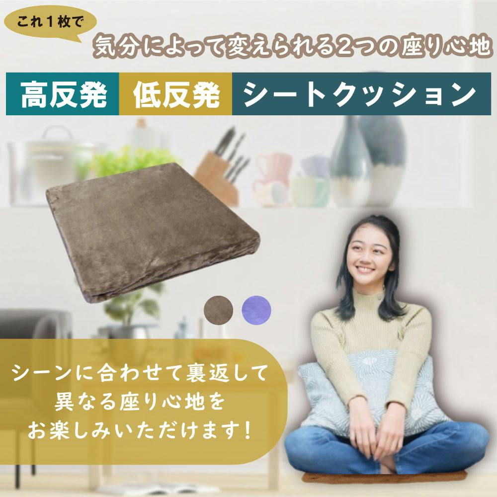 ジムテリア シェイプキューブ カカオブラウン | その他 トレーニング