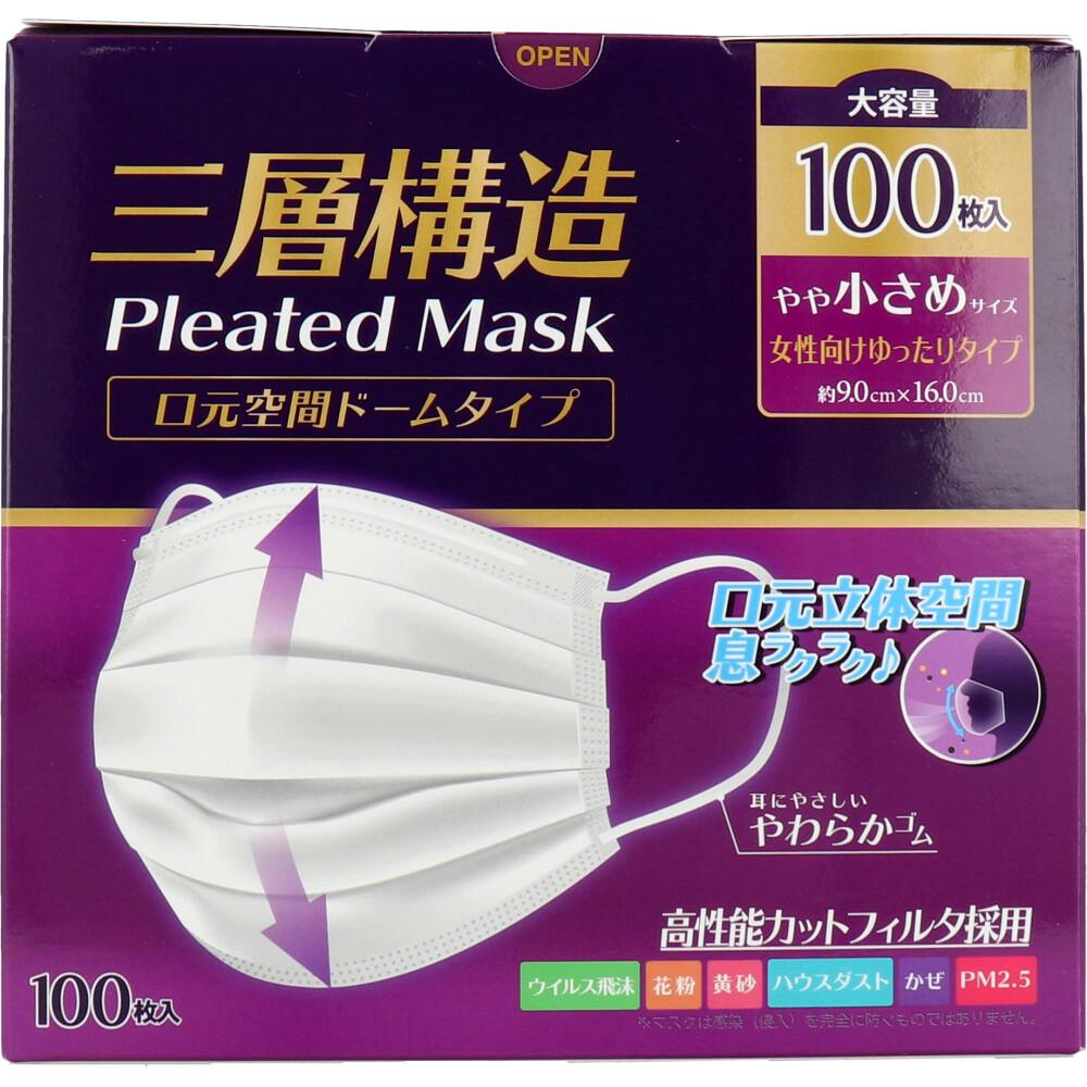 三層構造プリーツマスク 口元空間ドームタイプ やや小さめサイズ 大容量 100枚入 ×1点【送料込み】 ＃4589596695907
