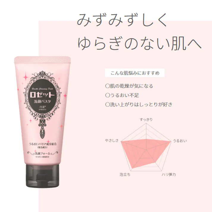 ロゼット洗顔パスタ 白泥 洗顔フォーム 120g ×1点【送料込み】 #4901696541890