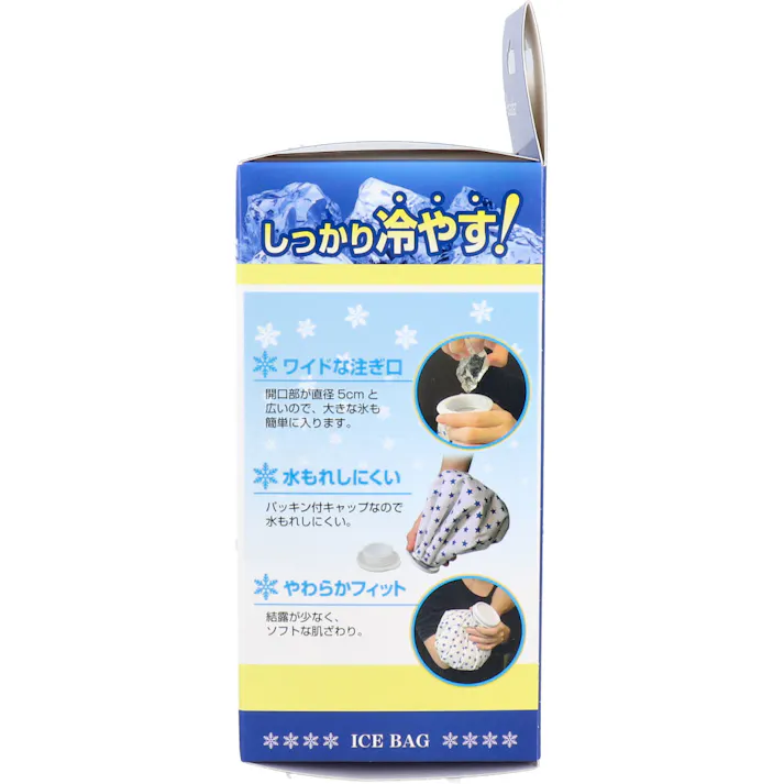 リーダー 発熱スッキリ 氷のう 小さめサイズ 1個入 ×1点【送料込み】 #4955574826067