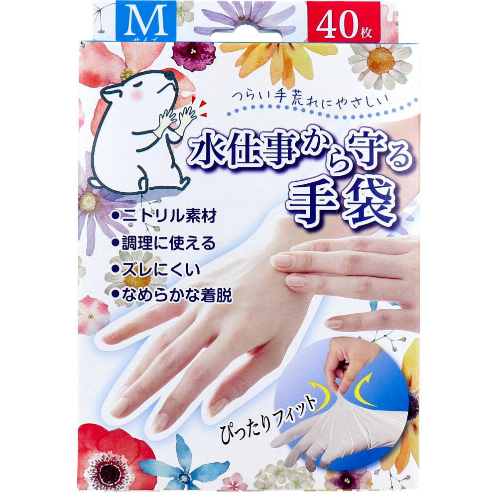 ���d���������� M�T�C�Y 40���� ×1�_ ��4956525001380 �j�g�������