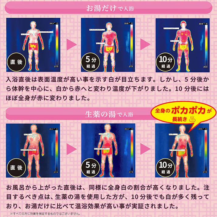 薬用入浴剤 生薬の湯 ティーバッグ式 20g×30包入 ×1点【送料込み】 #4976074852233