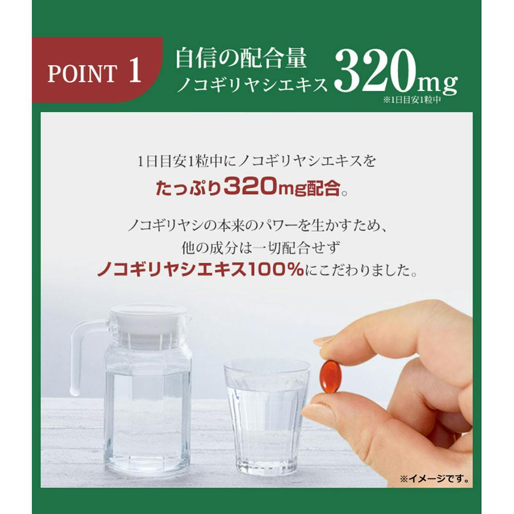 やわた ノコギリヤシ 15日分 15粒入 ×1点【送料込み】 ＃4980901211636