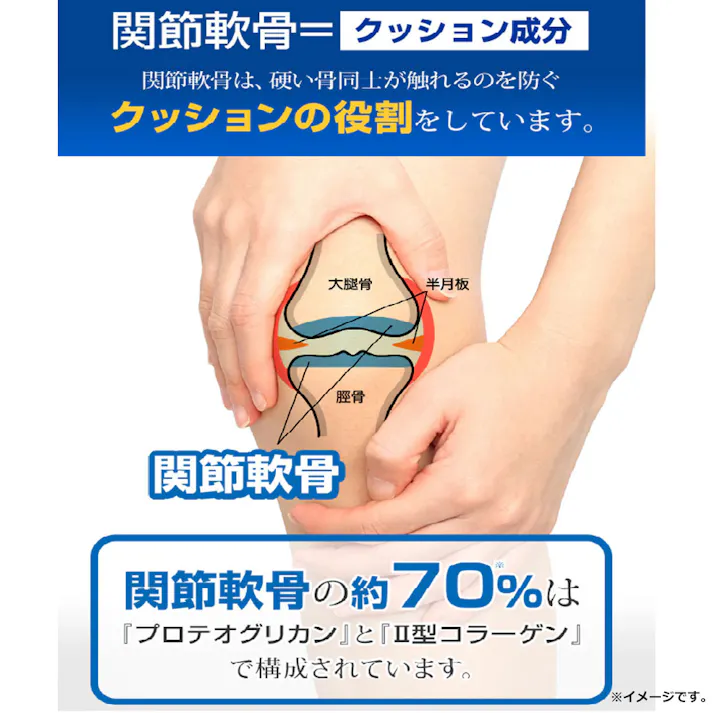 やわた 国産プロテオグリカン 15粒入 ×1点【送料込み】 #4980901215139