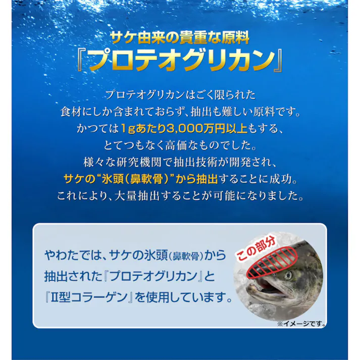 やわた 国産プロテオグリカン 15粒入 ×1点【送料込み】 #4980901215139