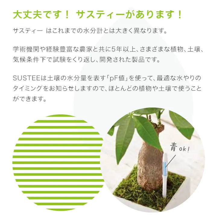 サスティー リフィル M2本入り 4セット SUStee 水やりチェッカー サスティ 水やり 植物 観葉 観葉植物 タイミング 目安 頻度 園芸 園芸用品 家庭菜園 ガーデニング ガーデニング用品 測定器