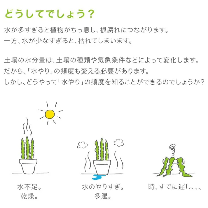 サスティー Lサイズ グリーン SUStee 水やりチェッカー サスティ 水やり 植物 観葉 観葉植物 タイミング 目安 頻度 園芸 園芸用品 家庭菜園 ガーデニング ガーデニング用品 測定器