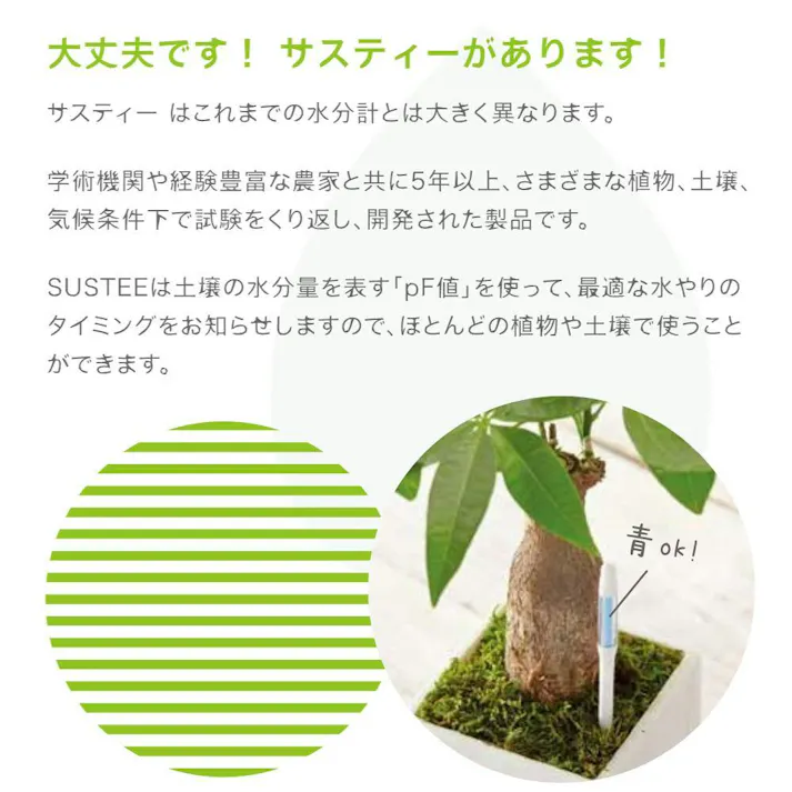 サスティー Lサイズ グリーン SUStee 水やりチェッカー サスティ 水やり 植物 観葉 観葉植物 タイミング 目安 頻度 園芸 園芸用品 家庭菜園 ガーデニング ガーデニング用品 測定器