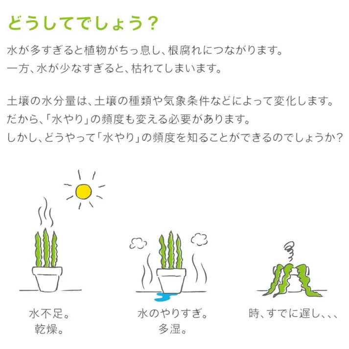 サスティー Lサイズ ホワイト 3本セット SUStee 水やりチェッカー サスティ 水やり 植物 観葉 観葉植物 タイミング 目安 頻度 園芸 園芸用品 家庭菜園 ガーデニング ガーデニング用品 測定器