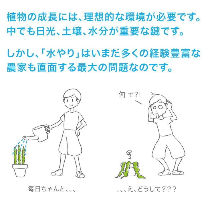 サスティー Mサイズ ホワイト 4本 SUStee 水やりチェッカー サスティ 水やり 植物 観葉 観葉植物 タイミング 目安 頻度 園芸 園芸用品 家庭菜園 ガーデニング ガーデニング用品 測定器