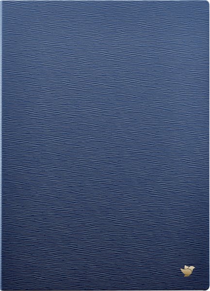 iFLYTEK AINOTE 2 専用ケースカバーDN