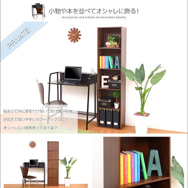 A4サイズ収納OK！扉付きカラーボックス【-5ivox-フィボックス