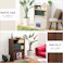 収納家具【DEALS-ディールズ-】 フラップ扉1枚タイプ/カラー:ウォールナット/ お客様組立 #ds60-f1--wal 【4535306147488】【送料込み】