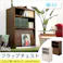 収納家具【DEALS-ディールズ-】 フラップ扉1枚タイプ/カラー:ホワイトオーク/ お客様組立 #ds60-f1--wok 【4535306147495】【送料込み】