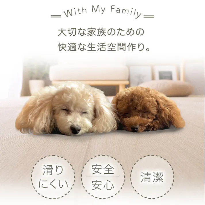 ペット向け防滑ラグマット 180×180cm/カラー:ホワイト/ #sh-25-ptm180--wh 【4535306218058】【送料込み】