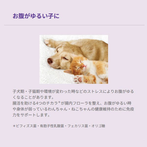 セレクトバランス 善玉菌のチカラ 犬猫用（タブレット）300g | おやつ