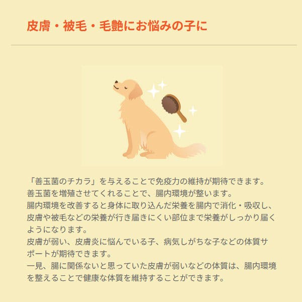 セレクトバランス 善玉菌のチカラ 犬猫用（タブレット）300g | おやつ