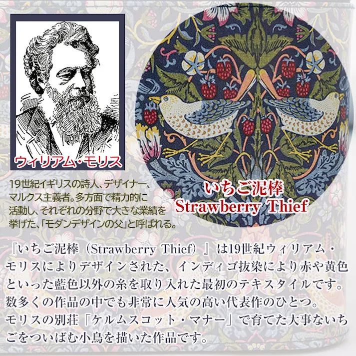 【モリス 通院ポーチ アイボリー】 ちあふる 通院セットをひとまとめ お薬手帳 診察券 仕分け 多収納 ファスナー 母子手帳 4571414699280