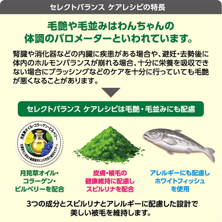 セレクトバランス ケアレシピ 消化器サポートレシピ / 1才以上の成犬用ホワイトフィッシュ小粒 2.4kg