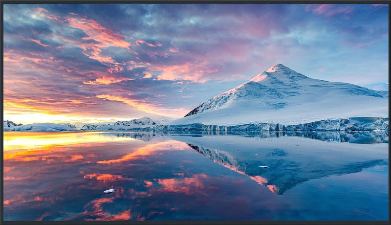 55型4K液晶エントリーディスプレイ | パソコン・周辺機器 通販