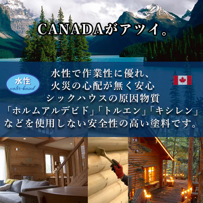 CANADAの本物。 水性 カナダフォレスト 1L 全6色 木材保護着色塗料 水性 塗料 木部用 防虫 防腐 防カビ