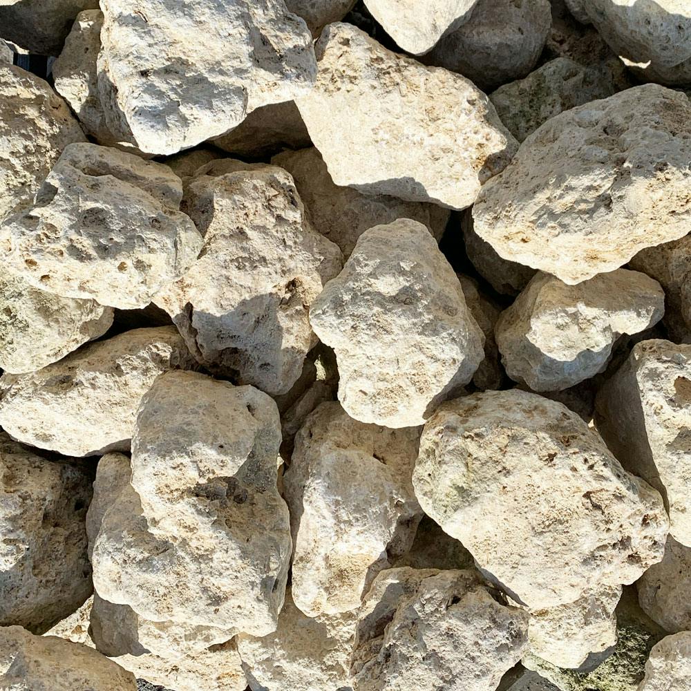 TAIKOH 琉球石灰岩 200-300mm 20kg 国産 ロック 景石 ベージュ 白 黄色 割栗 特大