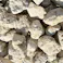 TAIKOH 琉球石灰岩 200-300mm 20kg 国産 ロック 景石 ベージュ 白 黄色 割栗 特大