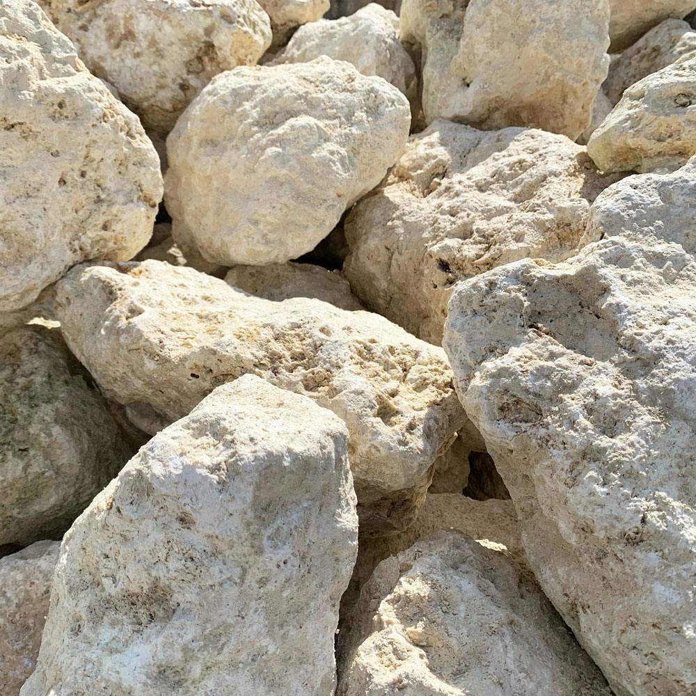 TAIKOH 琉球石灰岩 200-300mm 20kg 国産 ロック 景石 ベージュ 白 黄色