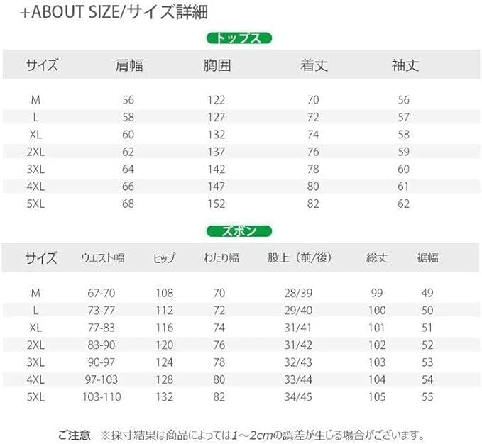 スキーウェア スノーボードウェア メンズ レディース 上下セット