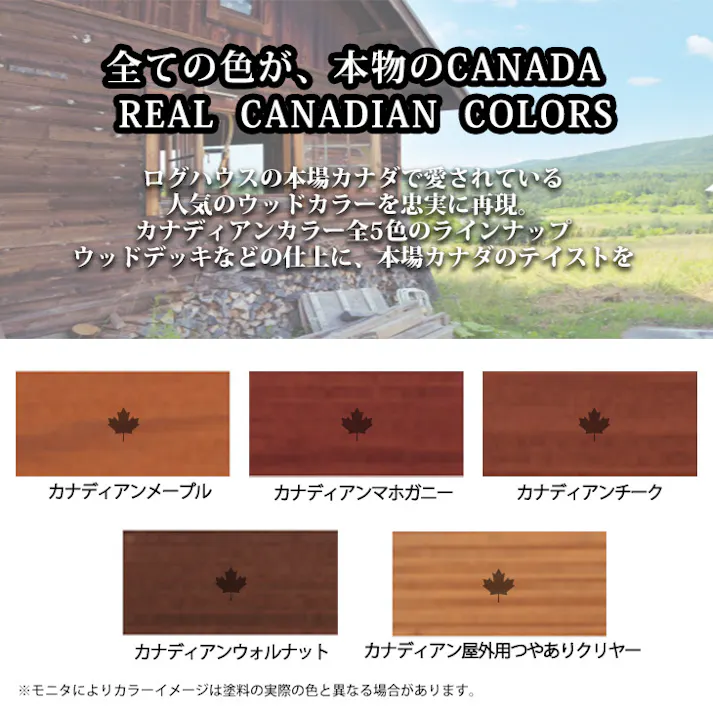 自然塗料 CANADAの本物。カナダフォレスト ナチュラルペイント 500ml 全5色 木材保護着色塗料 塗料 木部用 防虫 防腐 防カビ