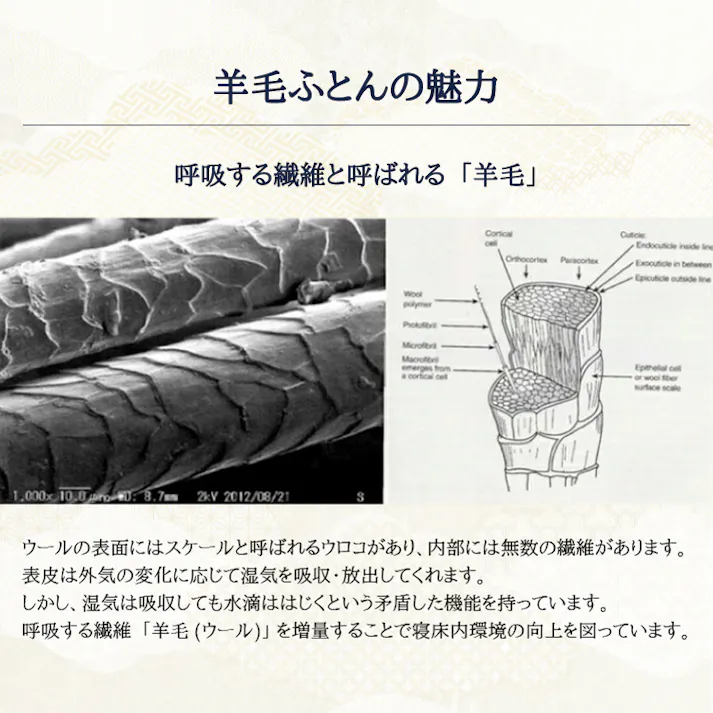 至福の眠り 4層構造羊毛敷きふとん シングル