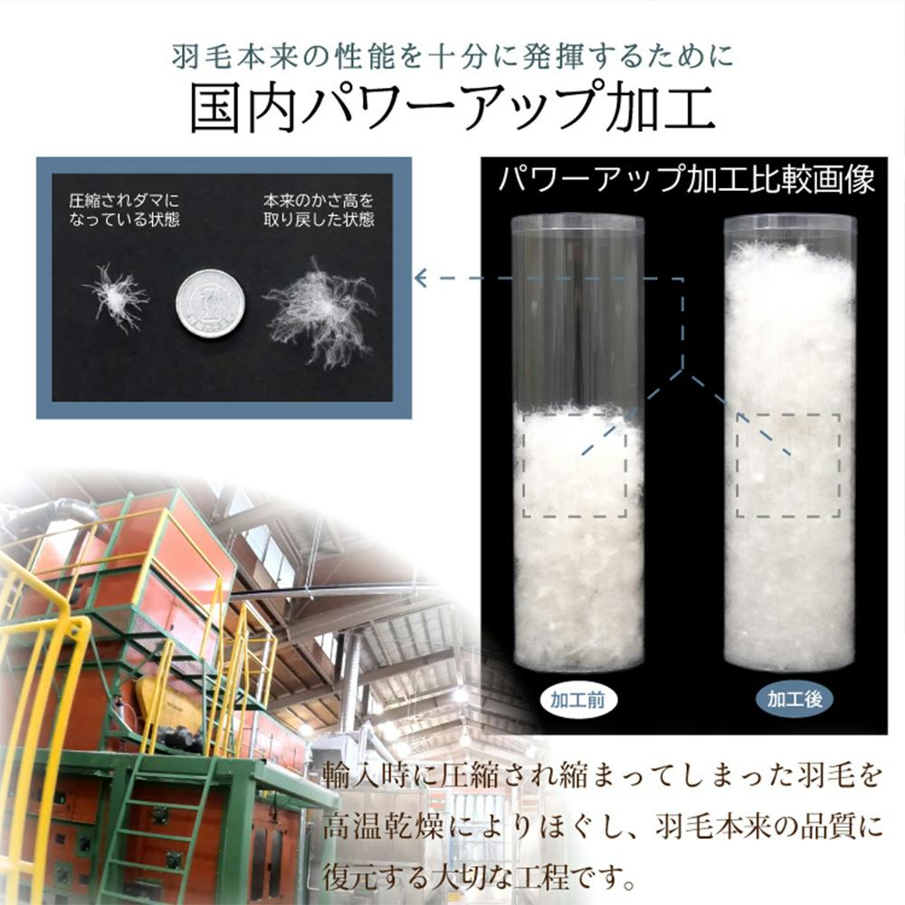 フランス産ホワイトダックダウン85％ 羽毛ふとん シングル ブルー