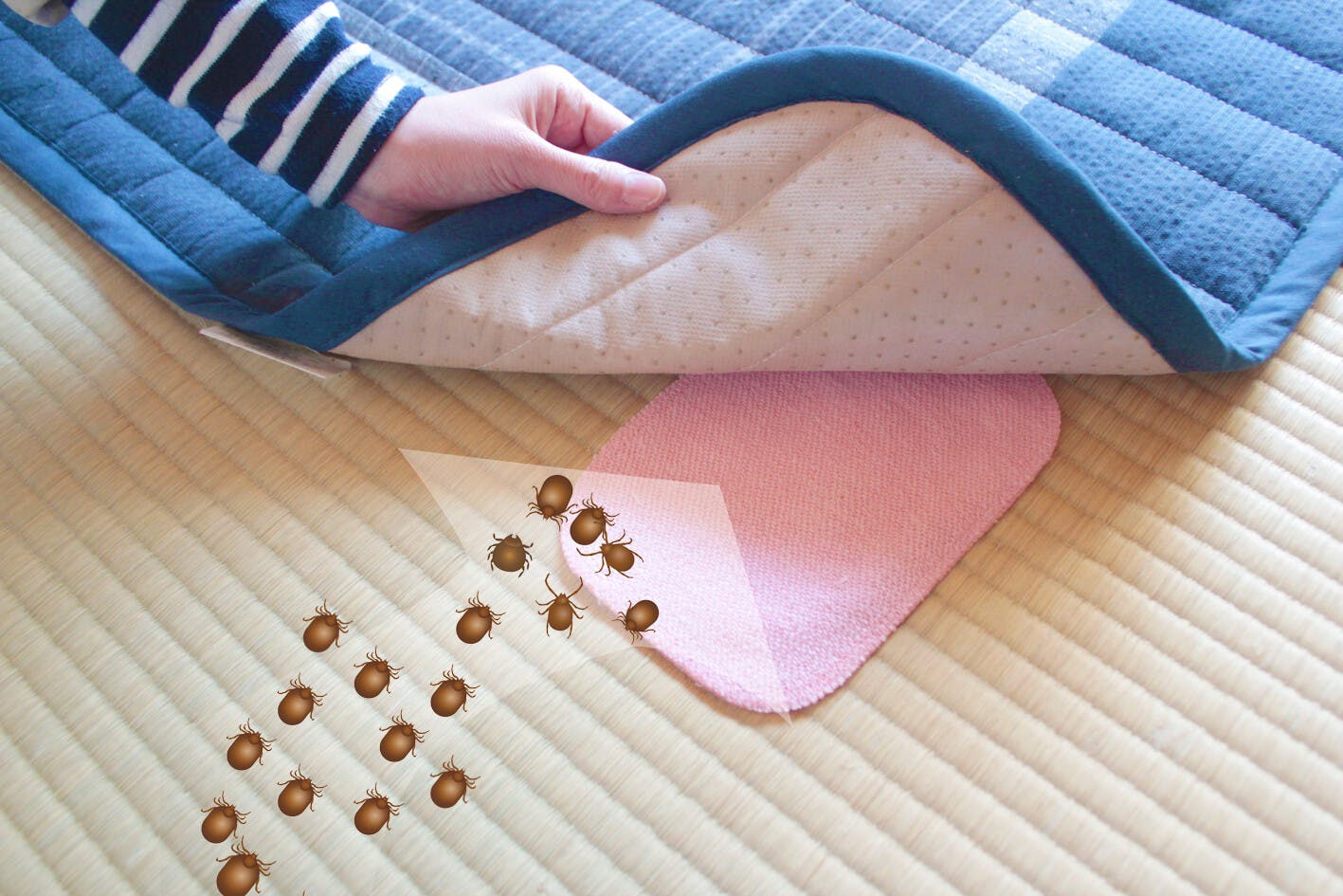 置くだけ簡単ダニシート【20枚組】 ダニを集めて捨てるだけ 誘引剤 強力粘着テープで捕獲 アレルギー 押入れ・タンス・敷布団・カーペット・こたつ・ぬいぐるみ　●殺虫剤不使用 1枚で効果約3ヶ月 適用面積：1畳程度 【送料込み】 ＃4580636015495 flife