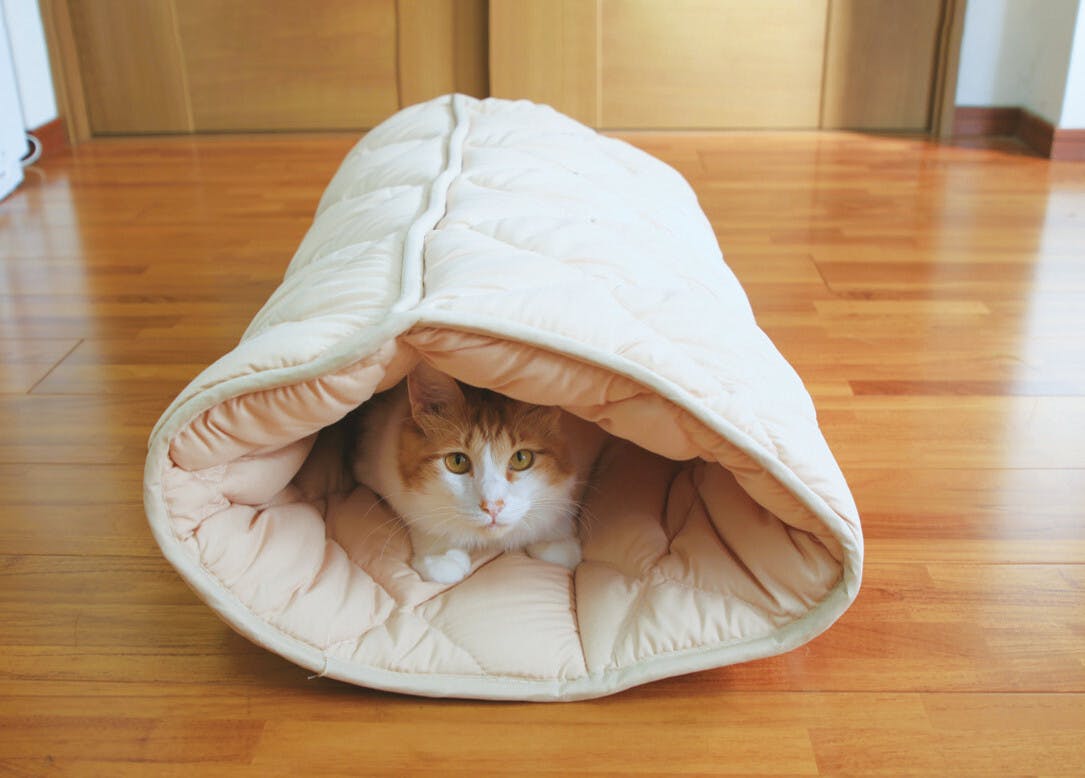 ふとんやの作ったペット用布団 キャットンネル アイボリー 【送料込み】 ＃4589978833767 flife