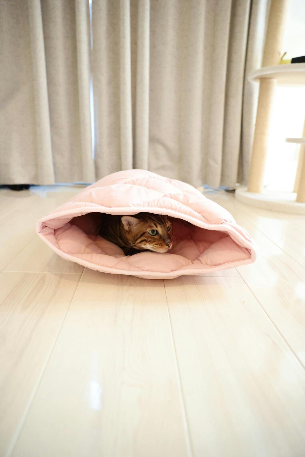 ふとんやの作ったペット用布団 キャットンネル ピンク 【送料込み】 ＃4589978833798 flife