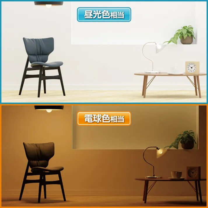 人感センサー付LED電球3個組 昼光色 【送料込み】 #4589978833996 flife