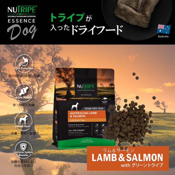 ドッグフード（ドライ） 総合栄養食 ニュートライプ (NUTRIPE)  GF 犬【ラム＆サーモン＆グリーントライプ】 【200g】×1個　NUT3510 ペットフード イヌ用【送料込み】