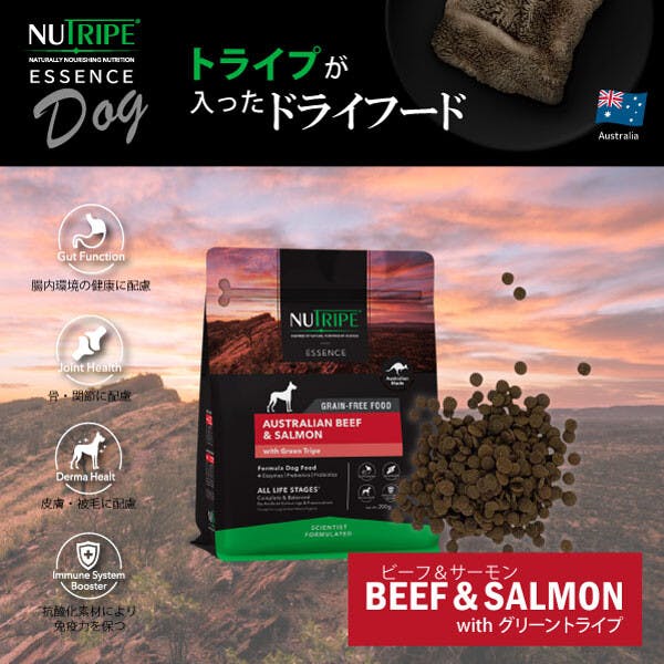 ドッグフード（ドライ） 総合栄養食 ニュートライプ (NUTRIPE)  GF 犬【ビーフ＆サーモン＆グリーントライプ】 【600g (200g×3袋) 】×1個　NUT3511-3 ペットフード イヌ用【送料込み】