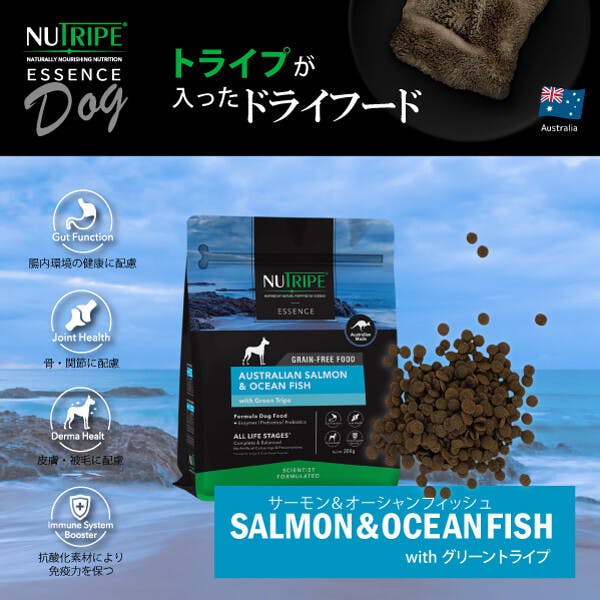 ドッグフード（ドライ） 総合栄養食 ニュートライプ (NUTRIPE)  GF 犬【サーモン＆フィッシュ＆グリーントライプ】 【600g (200g×3袋) 】×1個　NUT3513-3 ペットフード イヌ用【送料込み】