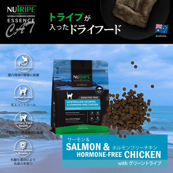 キャットフード（ドライ） 総合栄養食 ニュートライプ (NUTRIPE)  GF 猫【サーモン＆チキン＆グリーントライプ】 【1kg (200g×5袋) 】×1個　NUT3519-5 ペットフード ネコ用 ねこ用【送料込み】