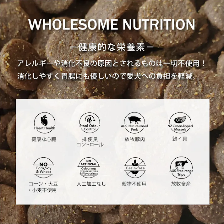 ドッグフード(ドライ) 総合栄養食 ニュートライプ (NUTRIPE) GF 犬【ビーフ&サーモン&グリーントライプ】 【20kg】×1個 NUT3405 ペットフード イヌ用【送料込み】