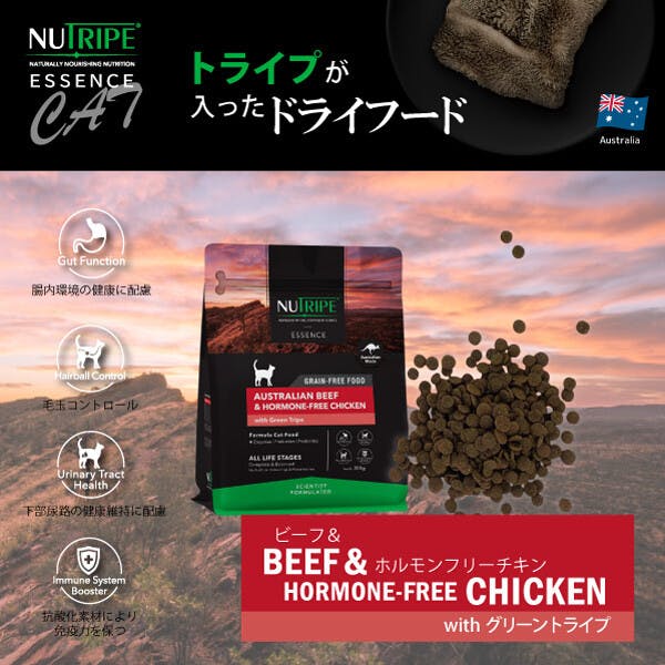 キャットフード（ドライ） 総合栄養食 ニュートライプ (NUTRIPE)  GF 猫【ビーフ＆チキン＆グリーントライプ】 【200g】×1個　NUT3518 ペットフード ネコ用 ねこ用【送料込み】