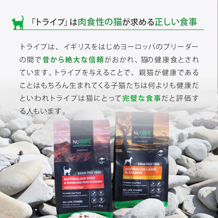 キャットフード(ドライ) 総合栄養食 ニュートライプ (NUTRIPE) GF 猫【サーモン&チキン&グリーントライプ】 【200g】×1個 NUT3519 ペットフード ネコ用 ねこ用【送料込み】