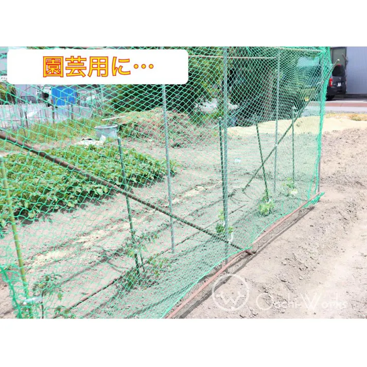 PE養生ネット 2m×3m ポリエチレン 25mm目 万能ネット 園芸ネット グリーンネット 【送料無料】